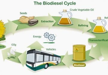 Biodiesel cycle